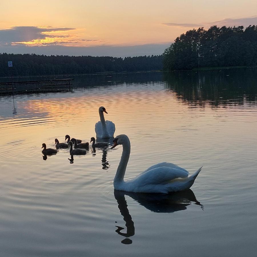 Domek Letniskowy U Marcina I Ani Borsk Buitenkant foto