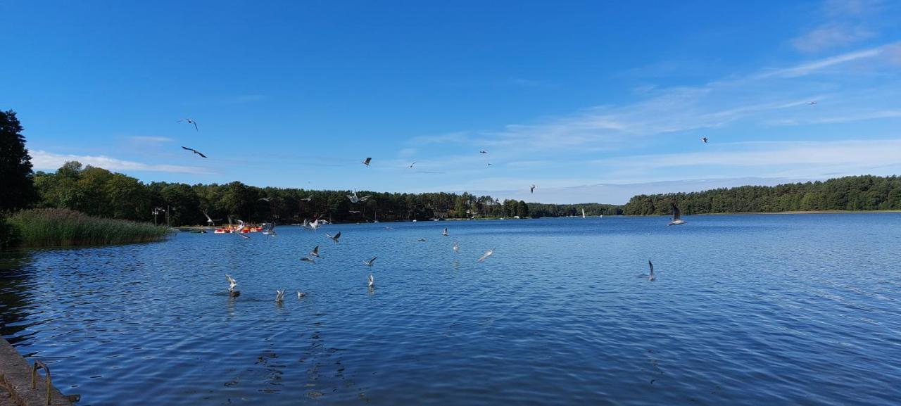 Domek Letniskowy U Marcina I Ani Borsk Buitenkant foto